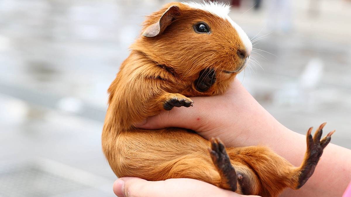   Фото: Ярослав Чингаев / АГН Москва