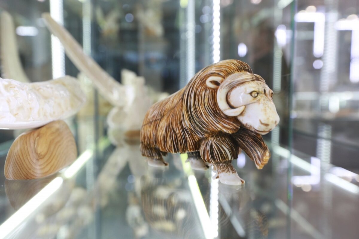   Фото: Тематическое фото / «MagadanMedia»