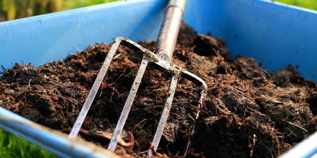 Органические удобрения. Какую органику можно вносить осенью?