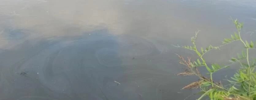 Фото: Леонид Буйло