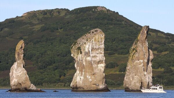    © Sputnik / Виталий Аньков