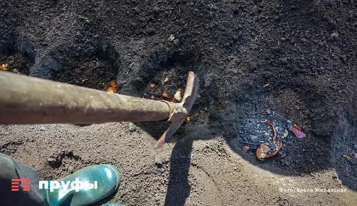    Фото: Пруфы.рф