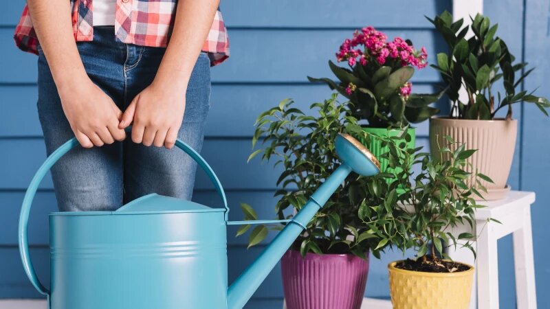     Полив цветов. freepik.com/freepik