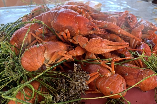    Фото: АиФ/ Ирина Малина