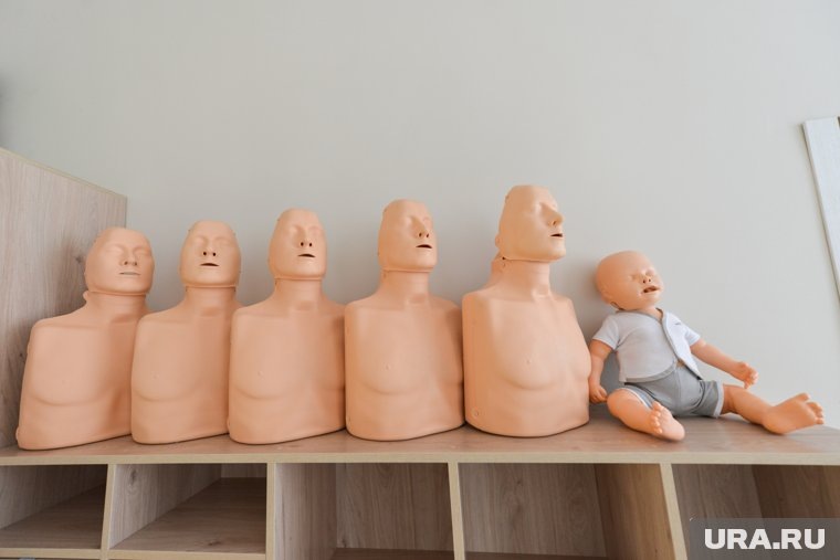    Актеру для работы с куклами на гастролях предложили зарабатывать по 80 тысяч рублей