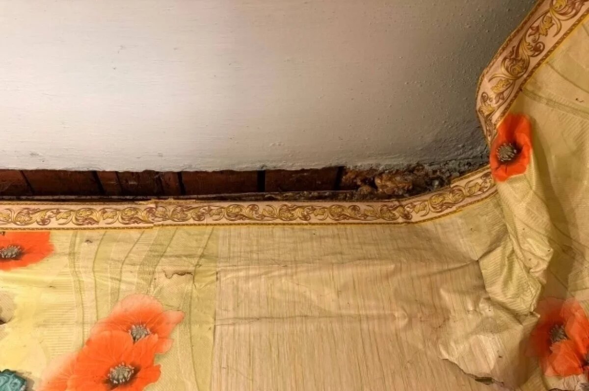    Так сейчас выглядят стены в доме матери участника СВО.