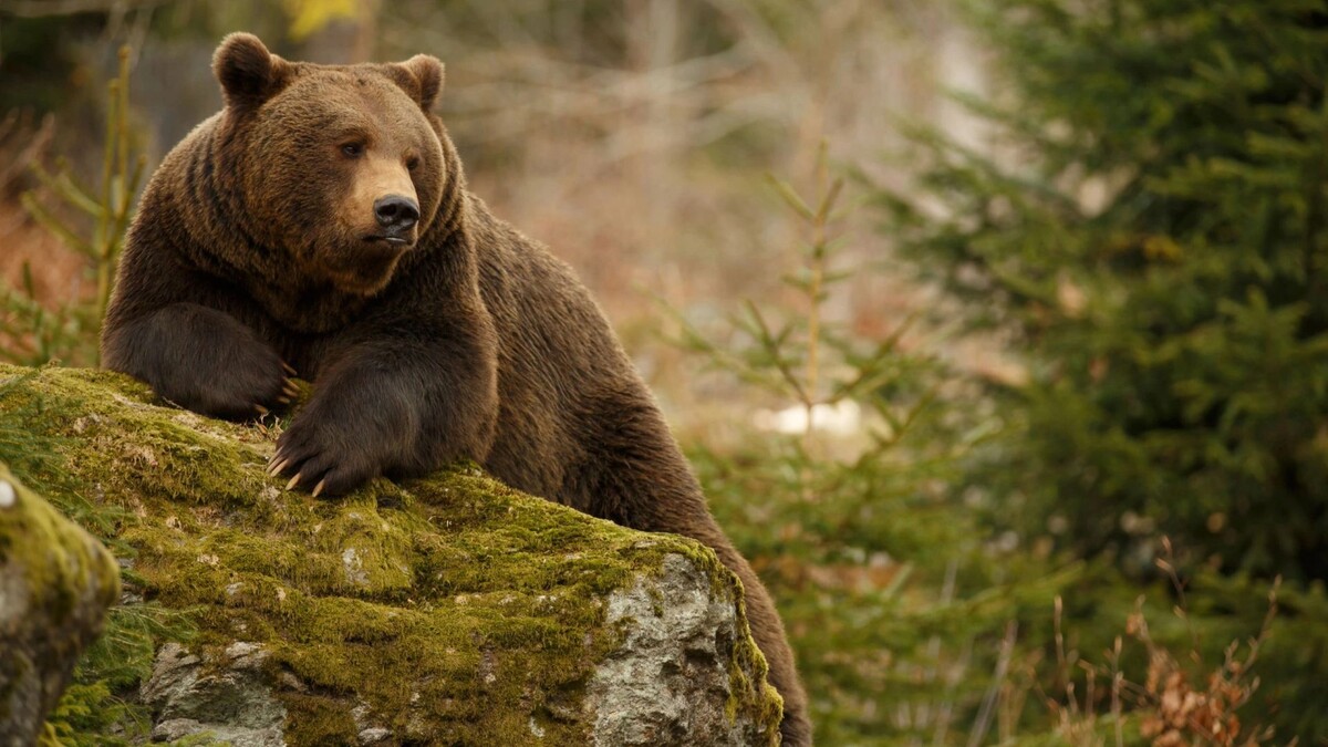    Фото: Canon Boy/Shutterstock/Fotodom