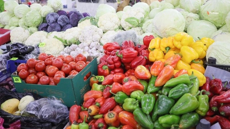      Фото: Дмитрий Ахмадуллин / / ИА «Победа26»