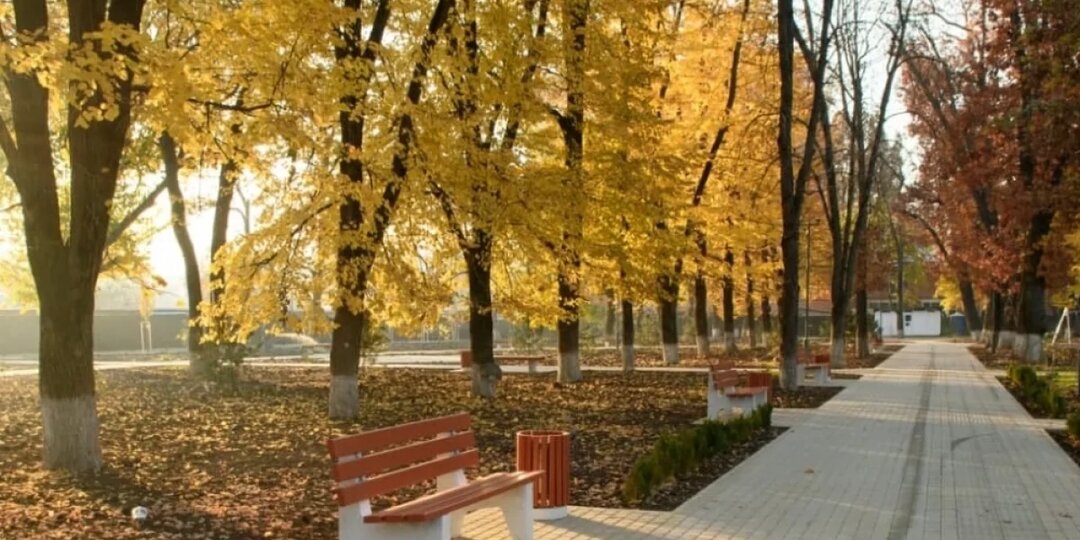 Синоптики рассказали, что в Краснодаре будет аномально теплая осень