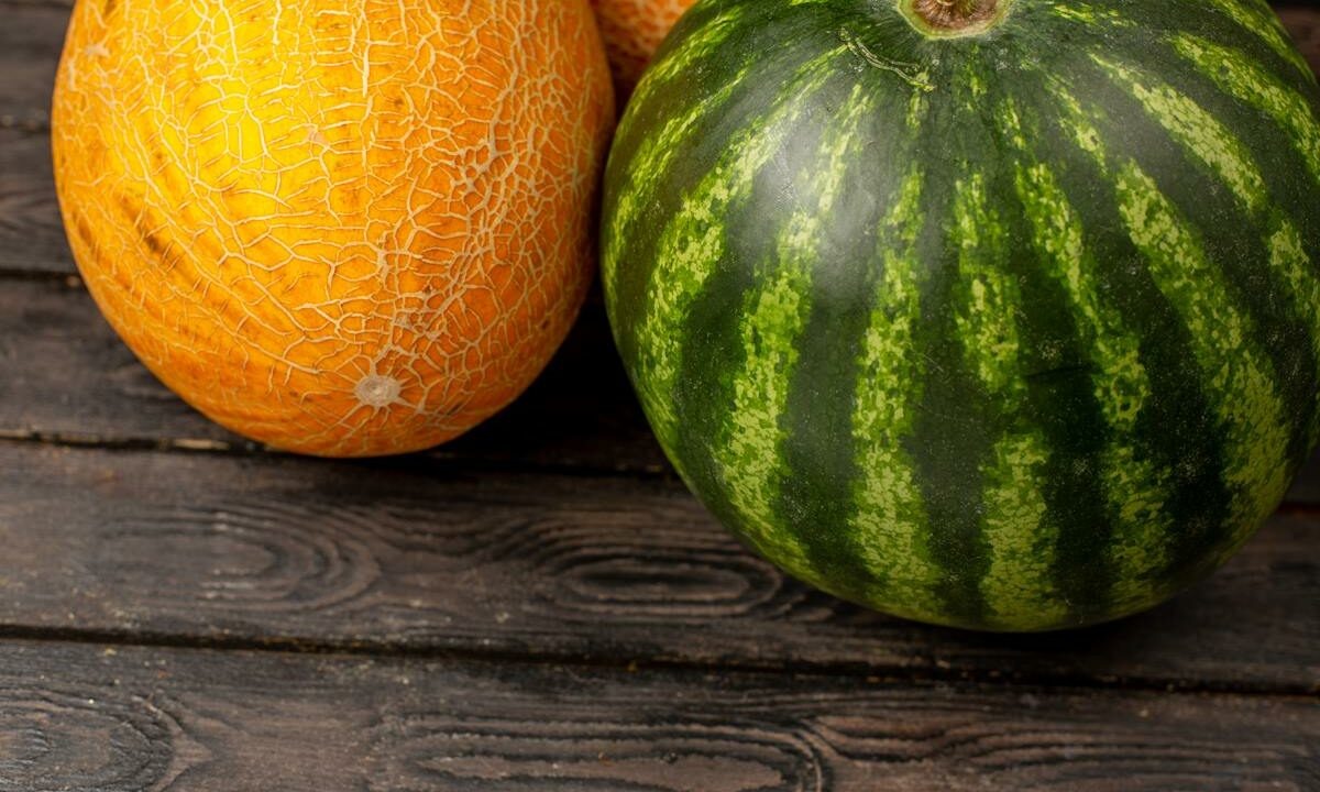    Фото freepik.com