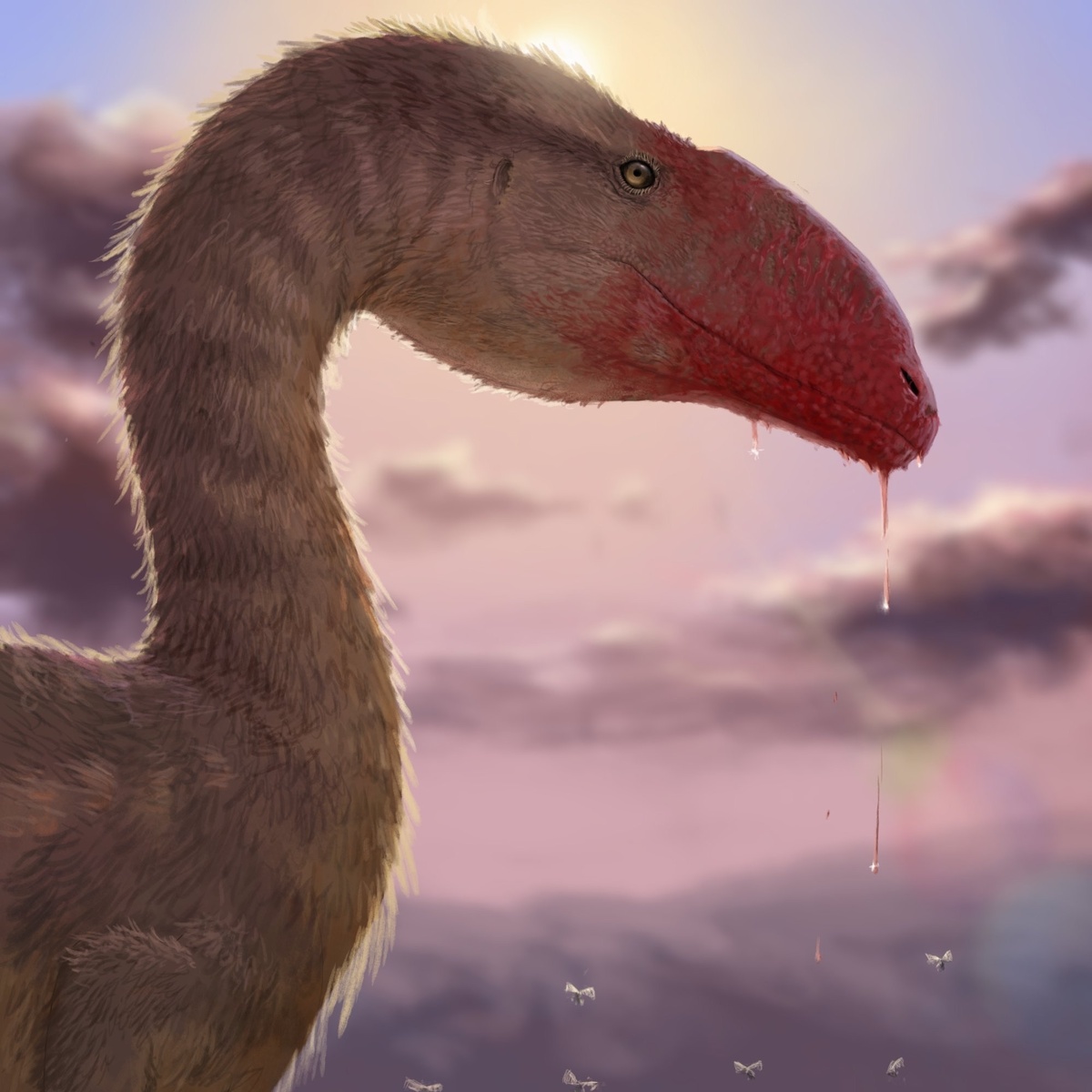 Лилиенштерн от Literally Miguel.