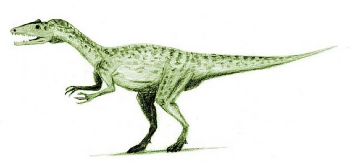 Лилиенштерн, иллюстрация.