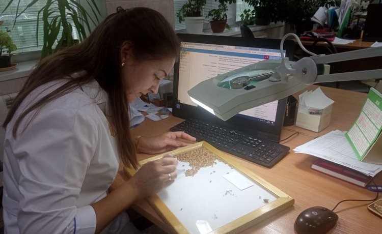    Фото: Минсельхозпрод Московской области