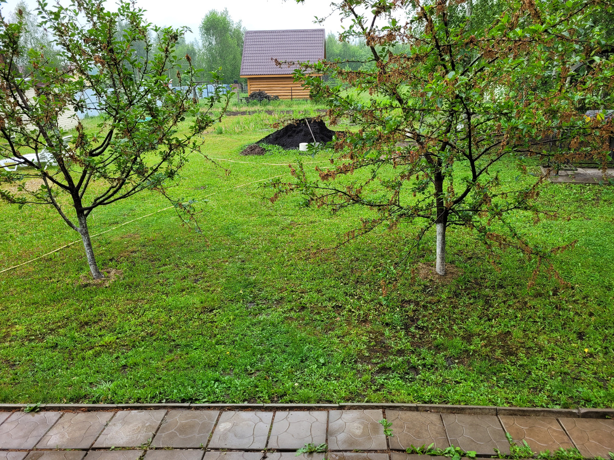 Фото автора от 04.06.25