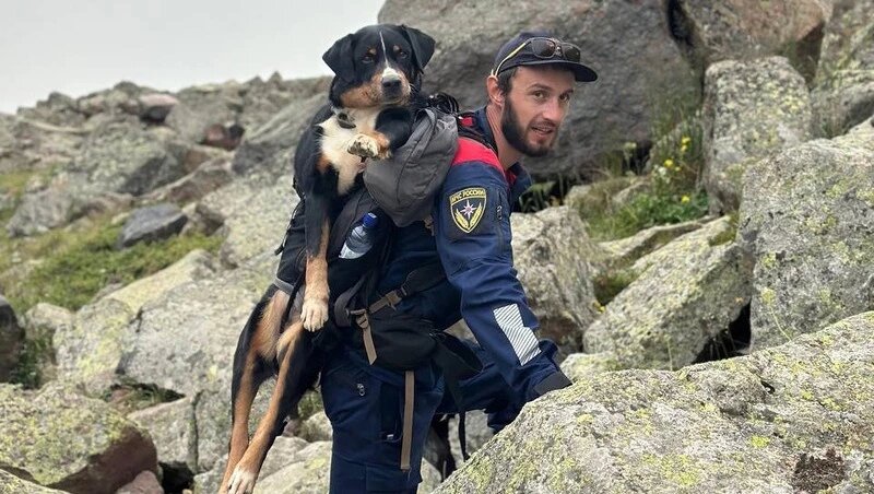      Фото: МЧС России