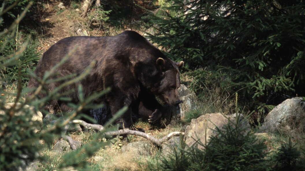    Фото: Konstantin Mikhailov/Russian Look/Globallookpress