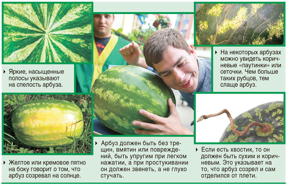    Нажмите для увеличения. Фото: АиФ