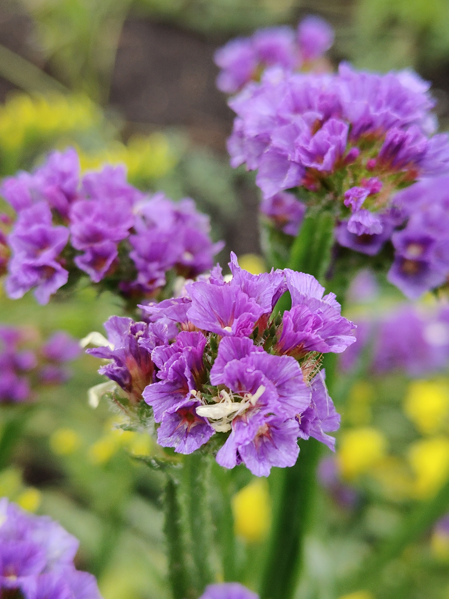 Фото для красоты. Согласитесь, пакет с кучей вещей не смотрелся бы так приятно