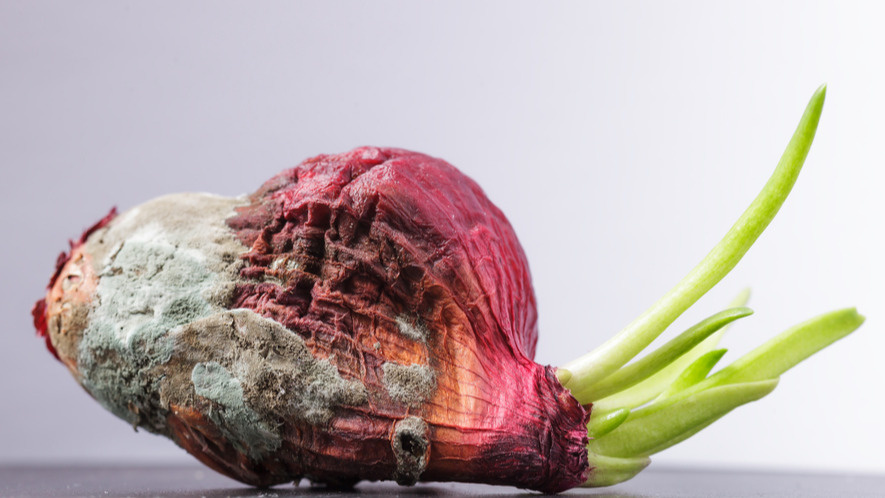 Храню репчатый лук до июня без единой гнилой луковицы уже 7 лет подряд. Выбираю из 3 способов в зависимости от погоды и объема урожая