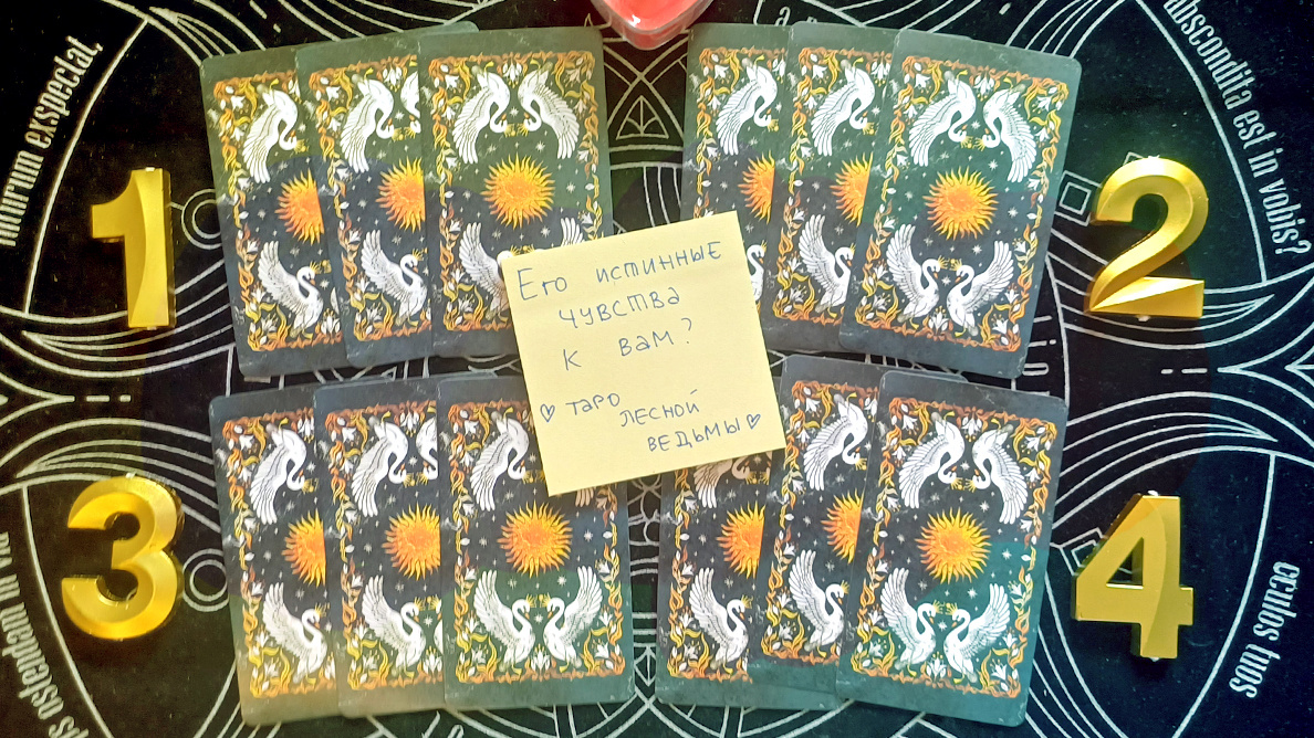 Его истинные чувства к вам? 