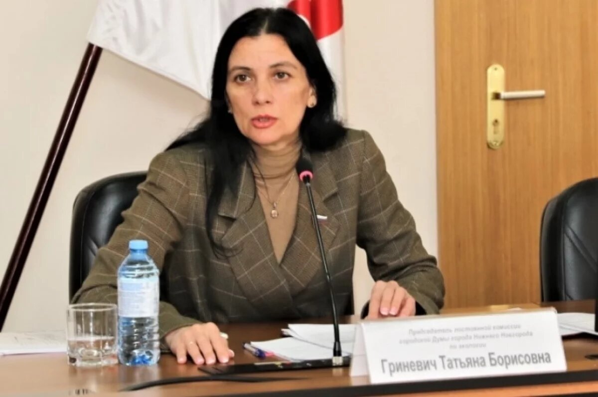    Депутат Гриневич помогла нижегородке вернуть деньги с маркетплейса