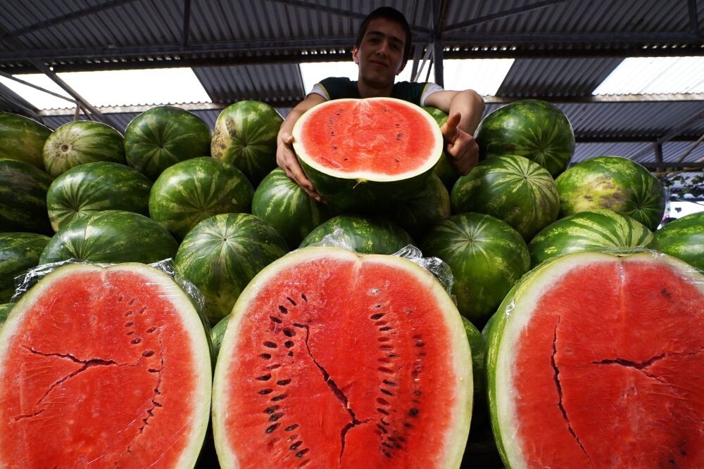 Фото: Игорь Зарембо / РИА Новости 