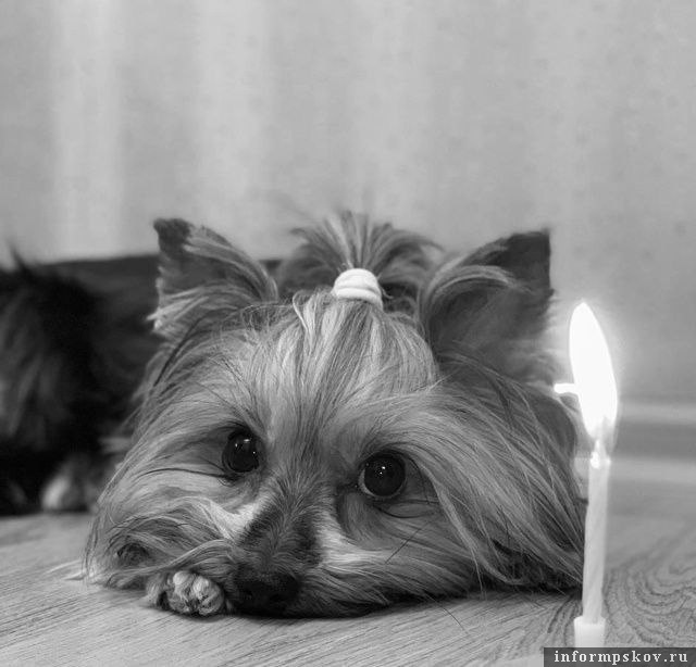 Фото Натальи Захаровой