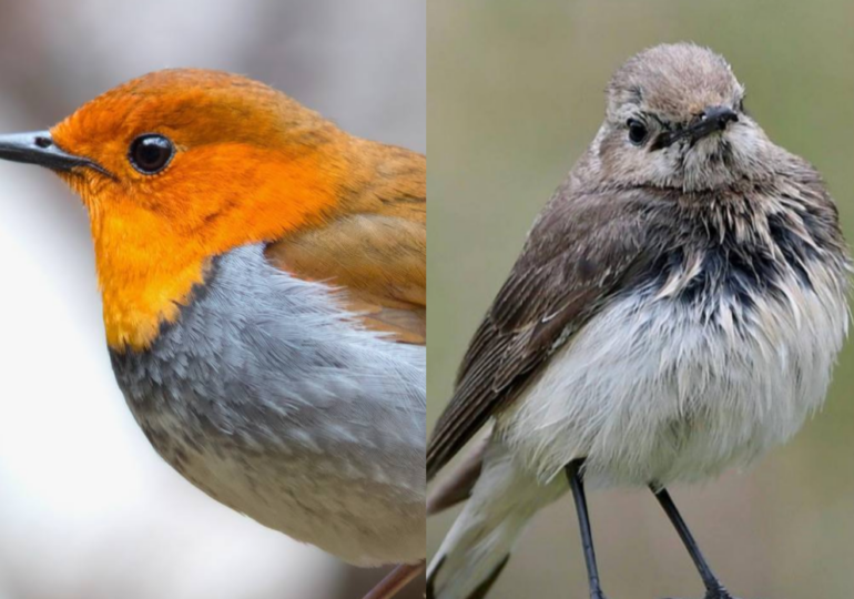 Национальный парк «Земля леопарда»