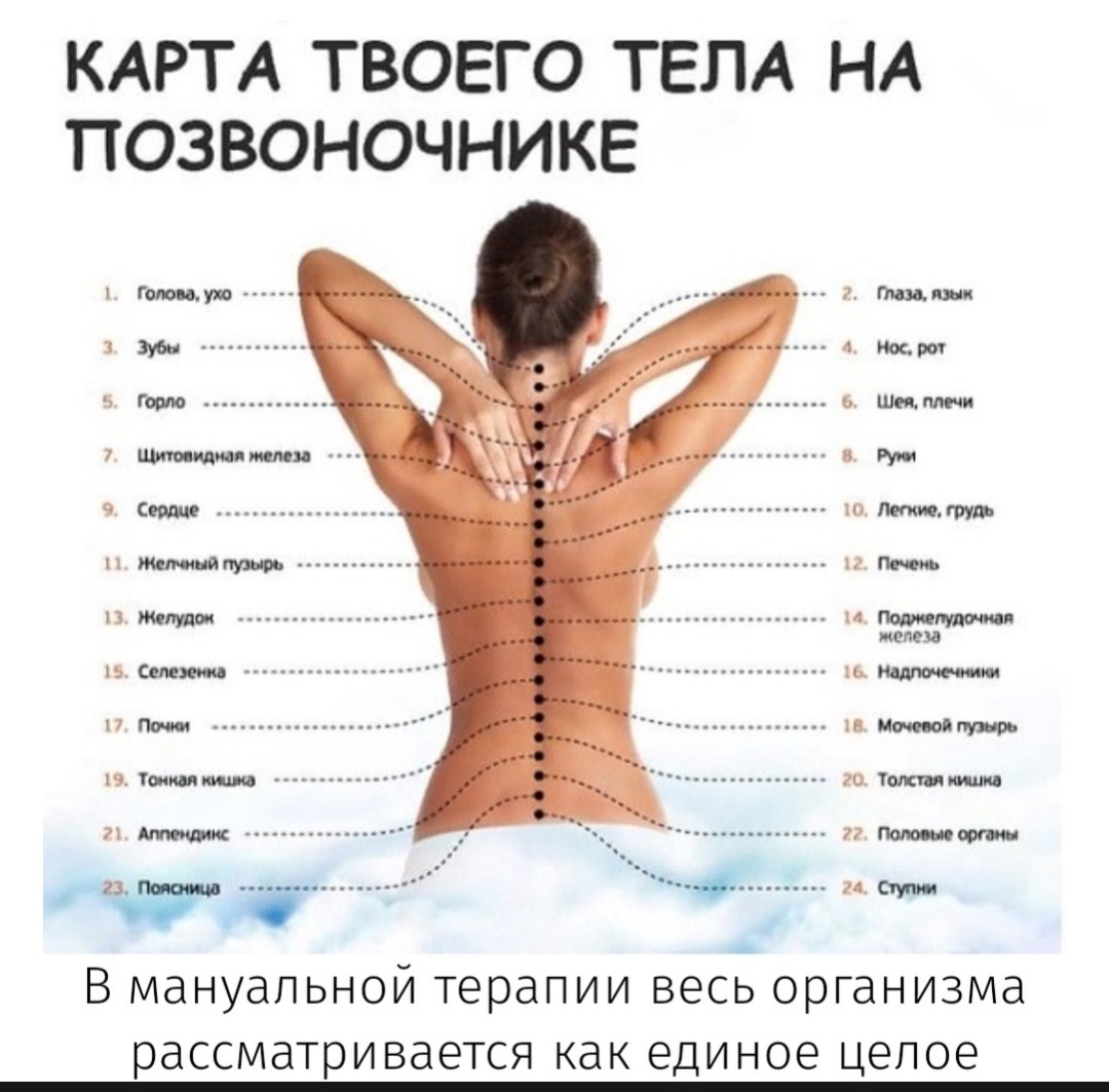 Заболевания опорно-двигательной инервной системы можно лечить безприменения сильнодействующихфармакологических средств. Дляэтого используют мануальныймассаж — методику, эффективностькоторой признана официальноймедициной. С ее помощью можноизбавиться от болей и скованности вспине, шее, восстановитьподвижность позвоночникапривести в норму мышечный тонусРассмотрим подробнее, что собойпредставляет данная лечебнаяметодика, в каких случаях ееприменяют.