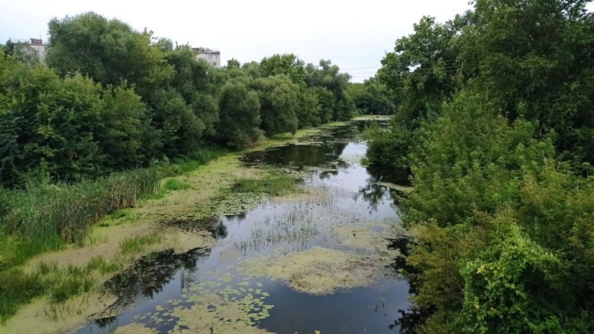    Депутат Воробьев требует проверить скандальную расчистку ХопраНовости Саратова и области – Сетевое издание «Репортер64»