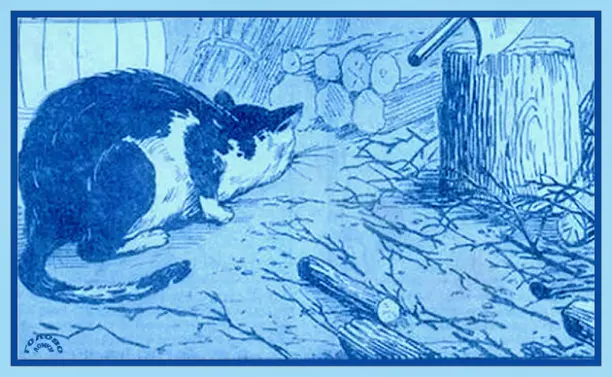 Кошачья охота: найдите юркую мышь 🐱🐁