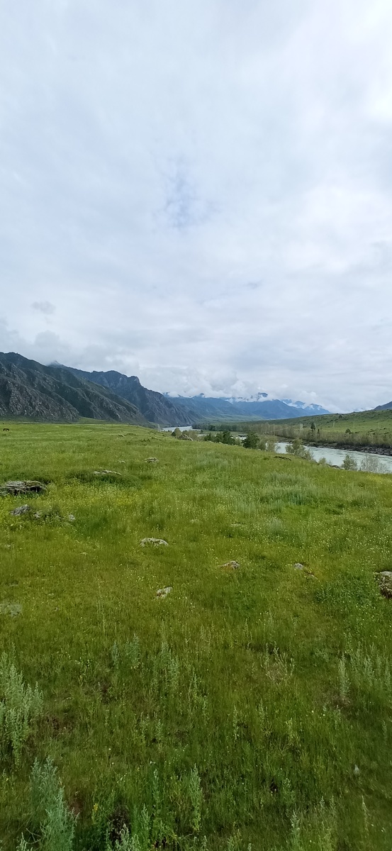 Надпойменная терраса