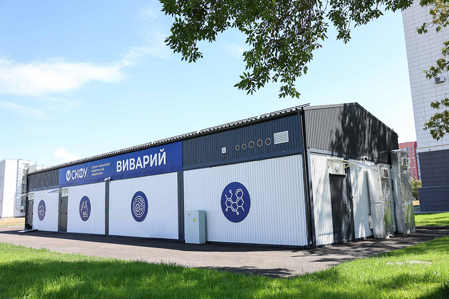 Фото: Илья Хачатурян