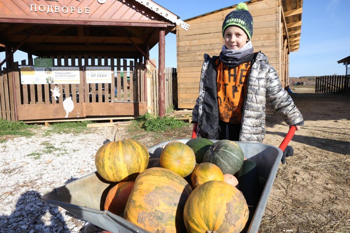    Нижегородцы могут принести кабачки, тыквы, фрукты и ягоды в качестве кормов для животных