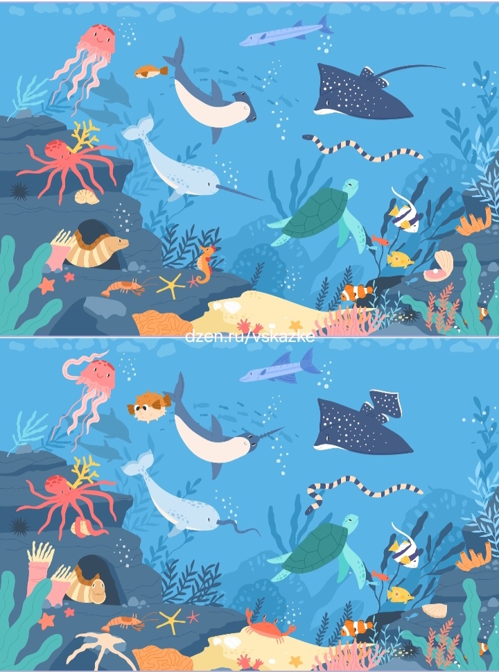 Найди отличия 