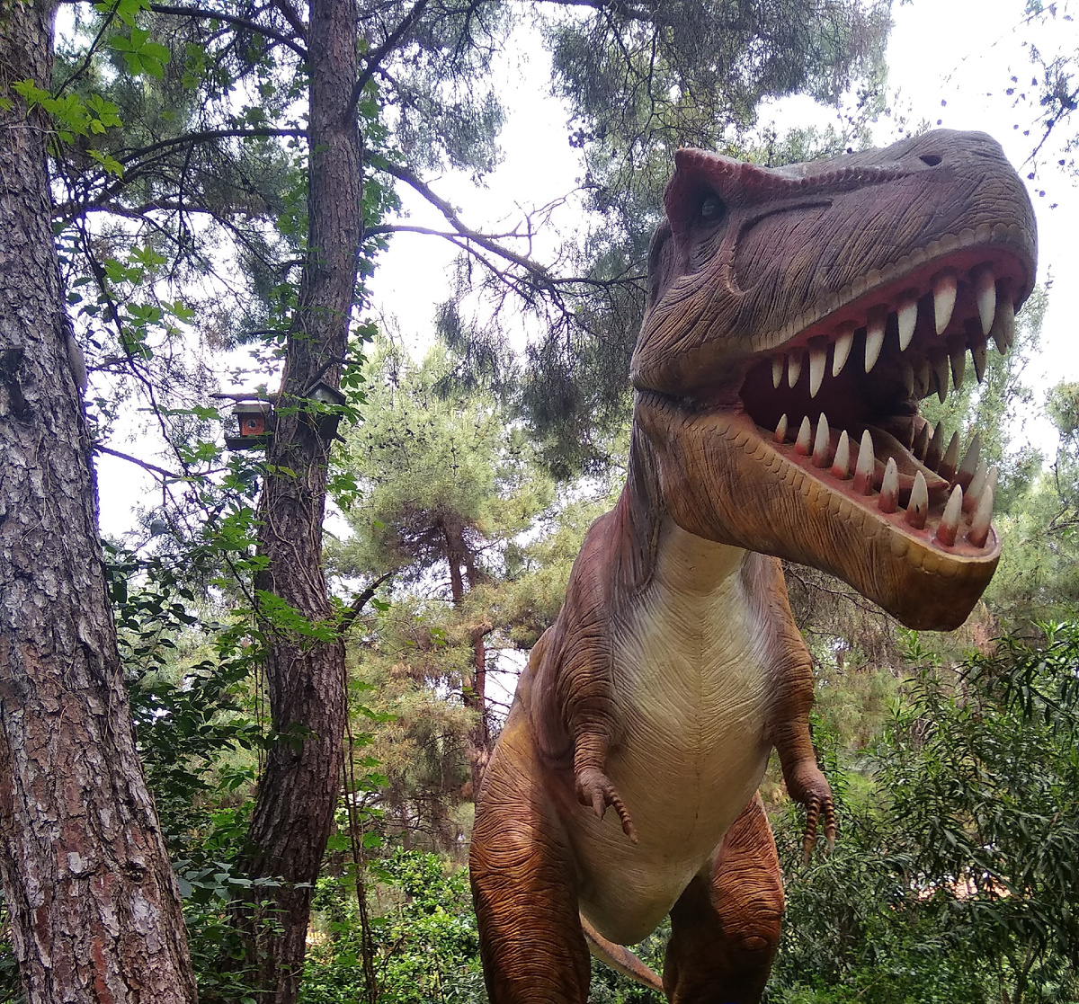 Динопарк в Кемере: тиранозавр, который издает звуки