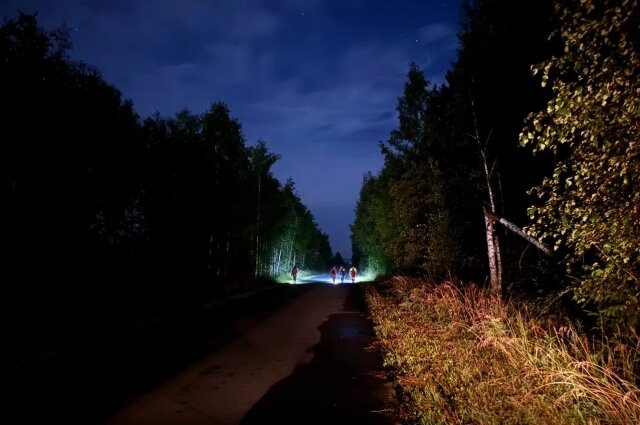    Волонтеры искали бабушку и днем и ночью. Фото: Лиза Алерт Владимир