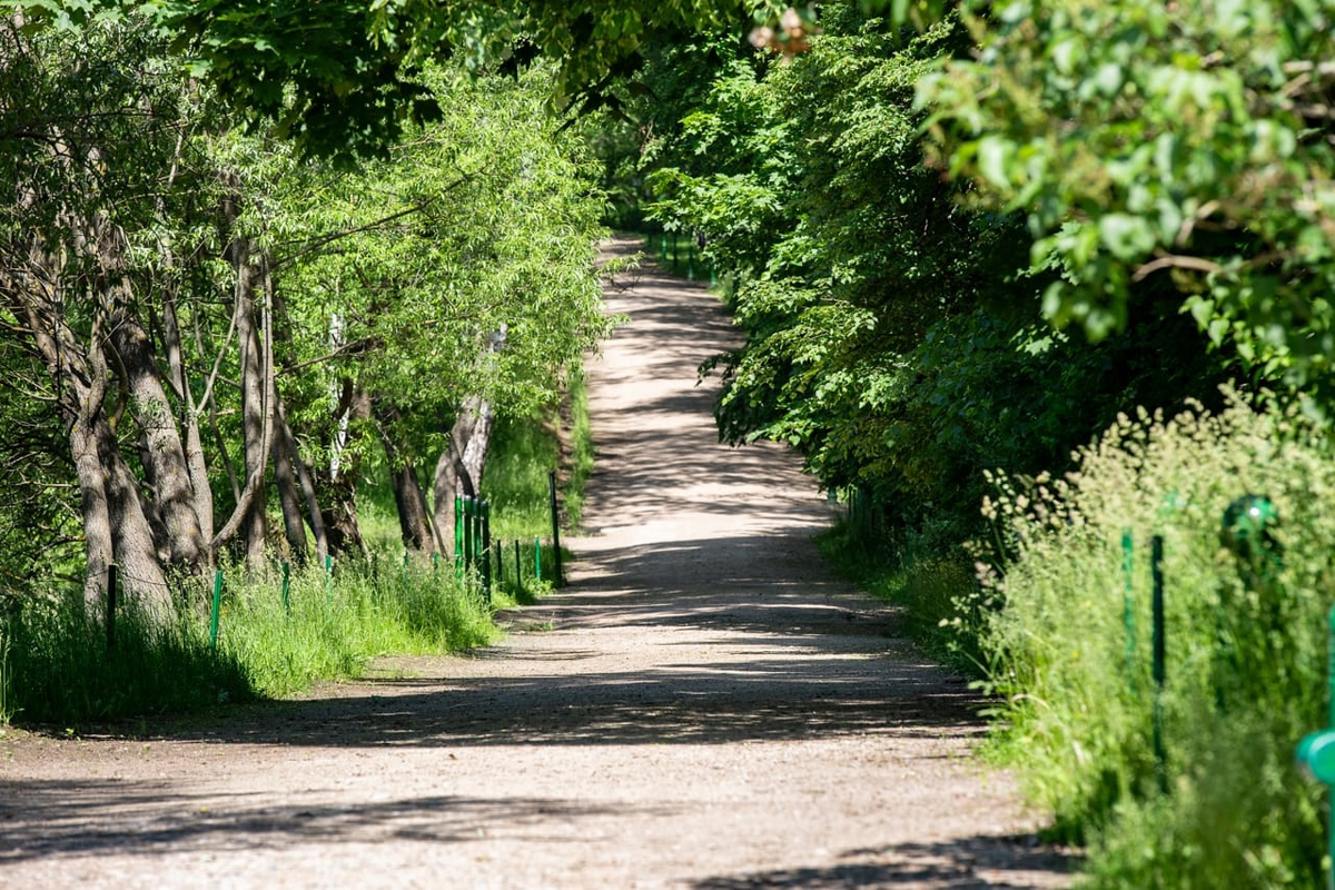 Фото: телеканал "Первый Тульский"