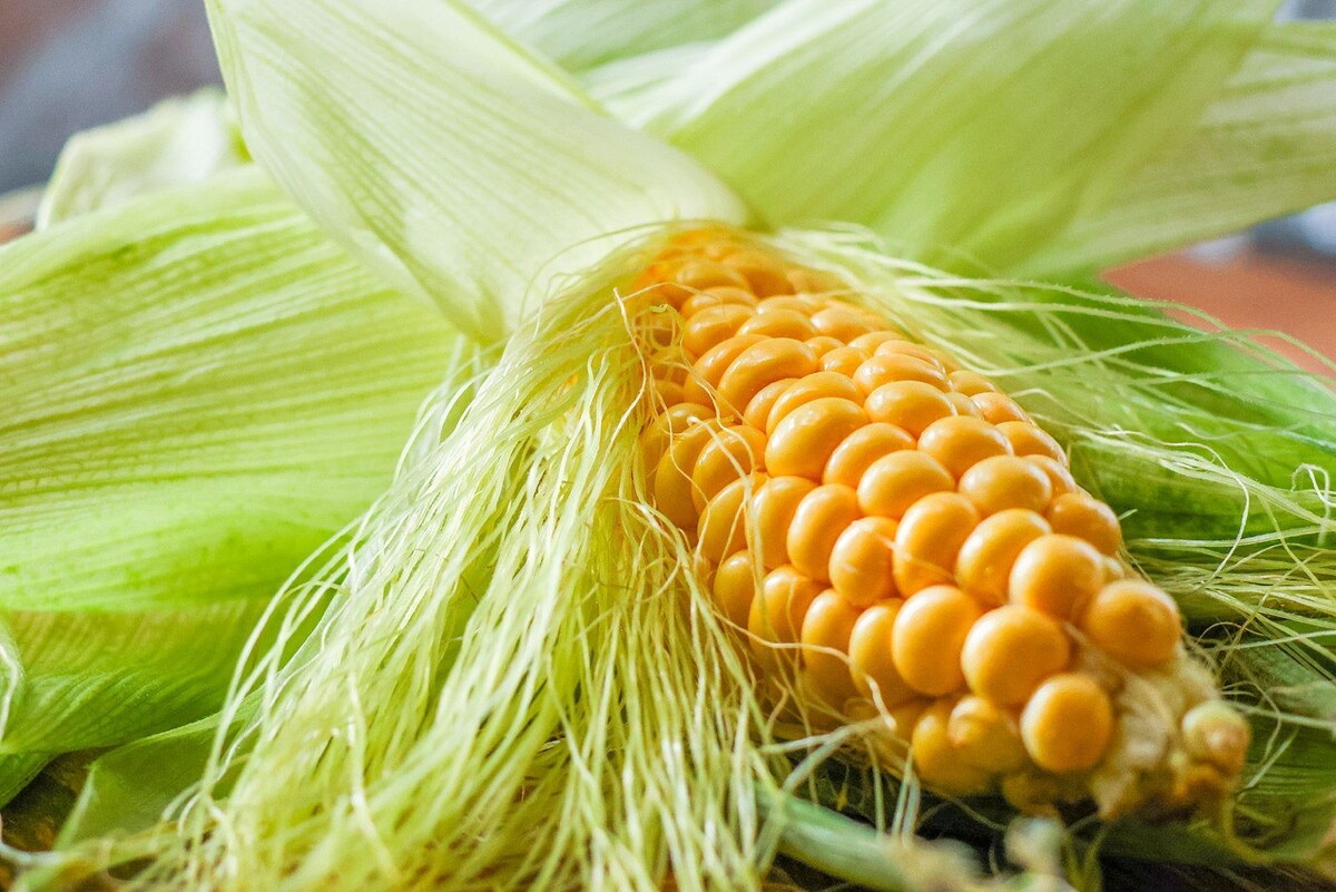    Сезон кукурузы стартовал на ярмарках Москвы