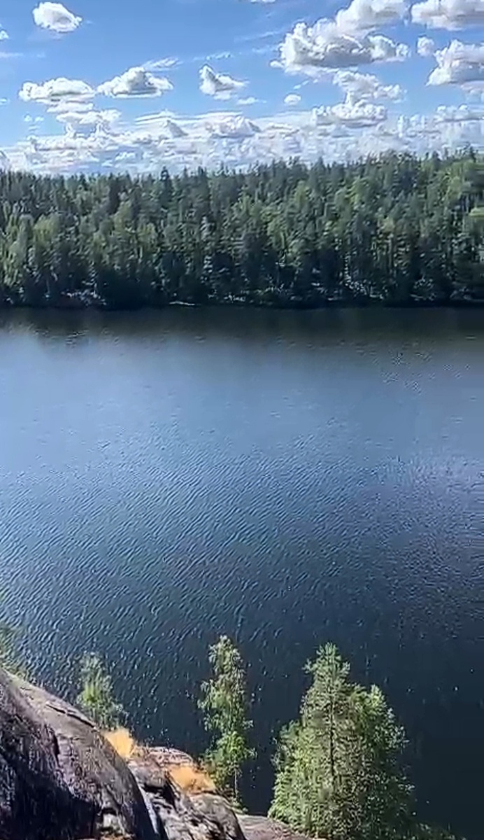 Красота лета