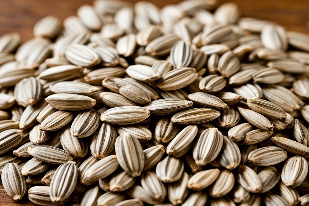    Фото: нейросети, источник: shedevrum.ai