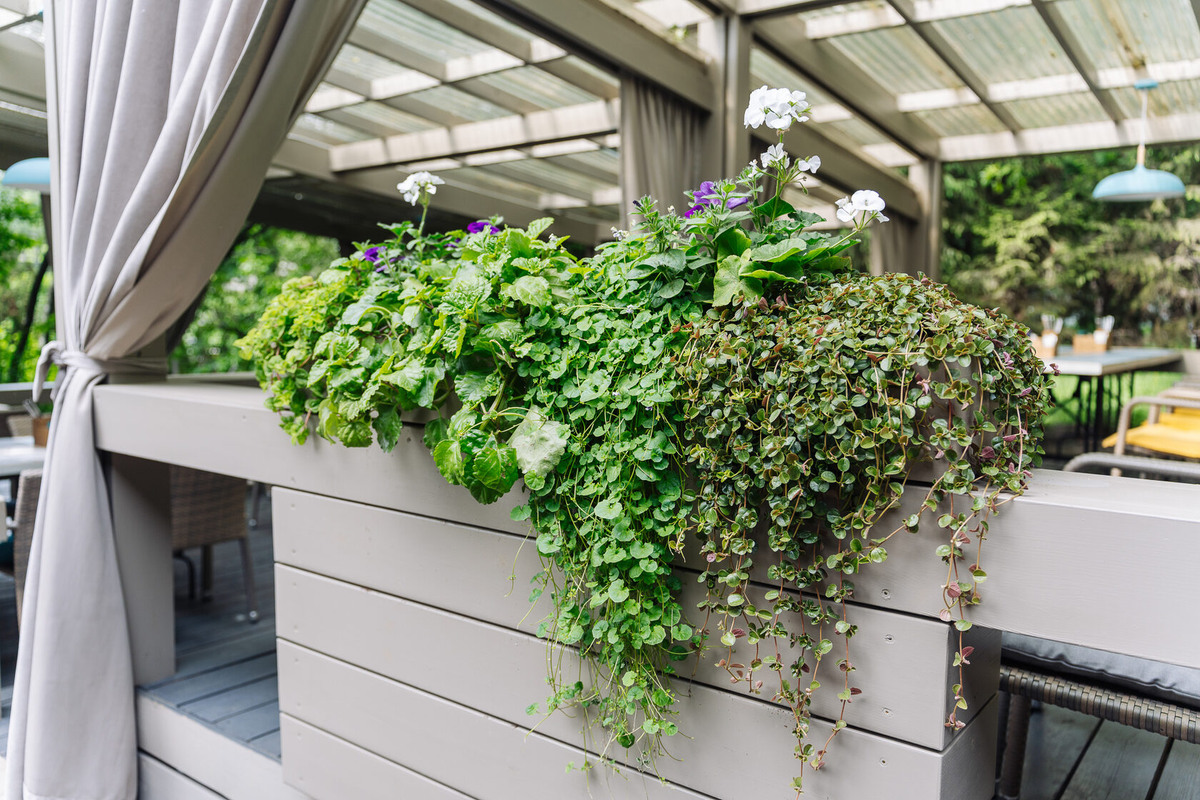 Выполнено декораторами Me Decor