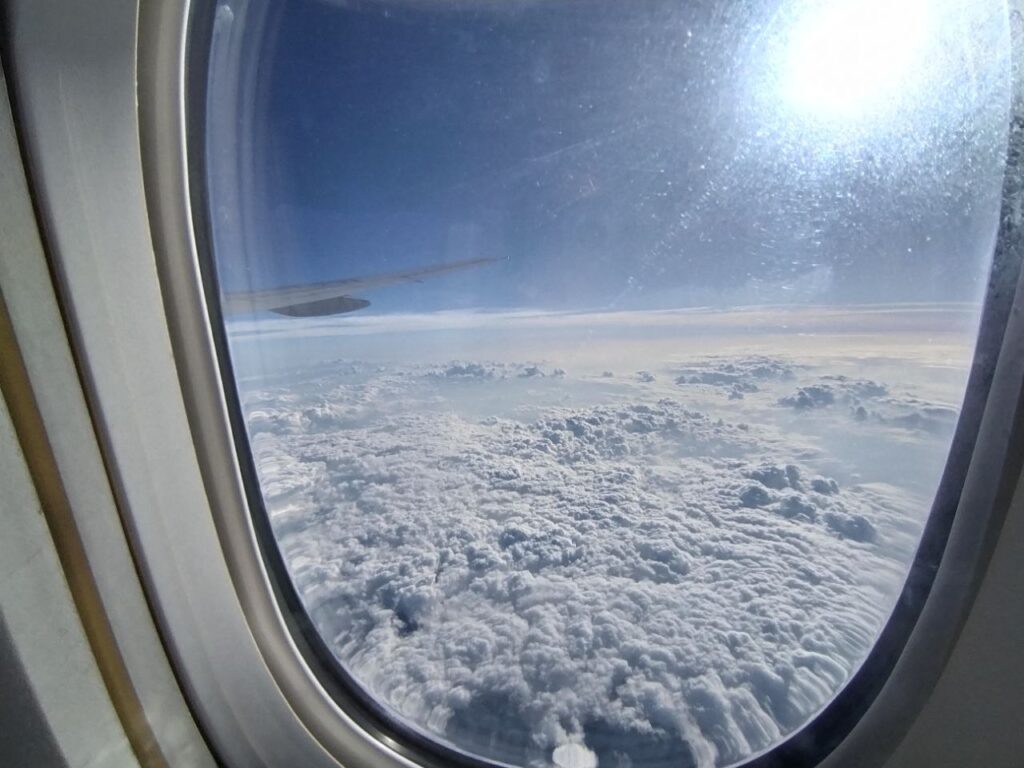    Фото: В курсе.ру Ульяна Бажанова