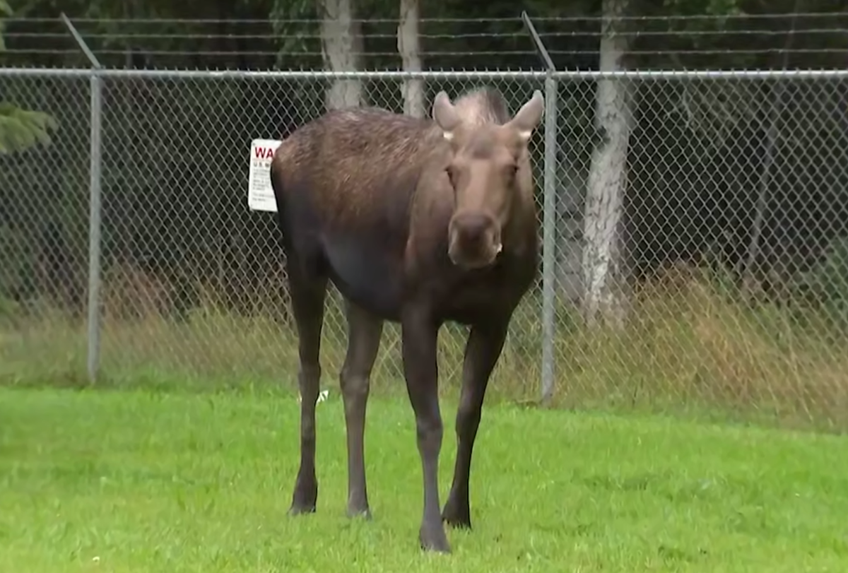     / Источник: Кадр из видео