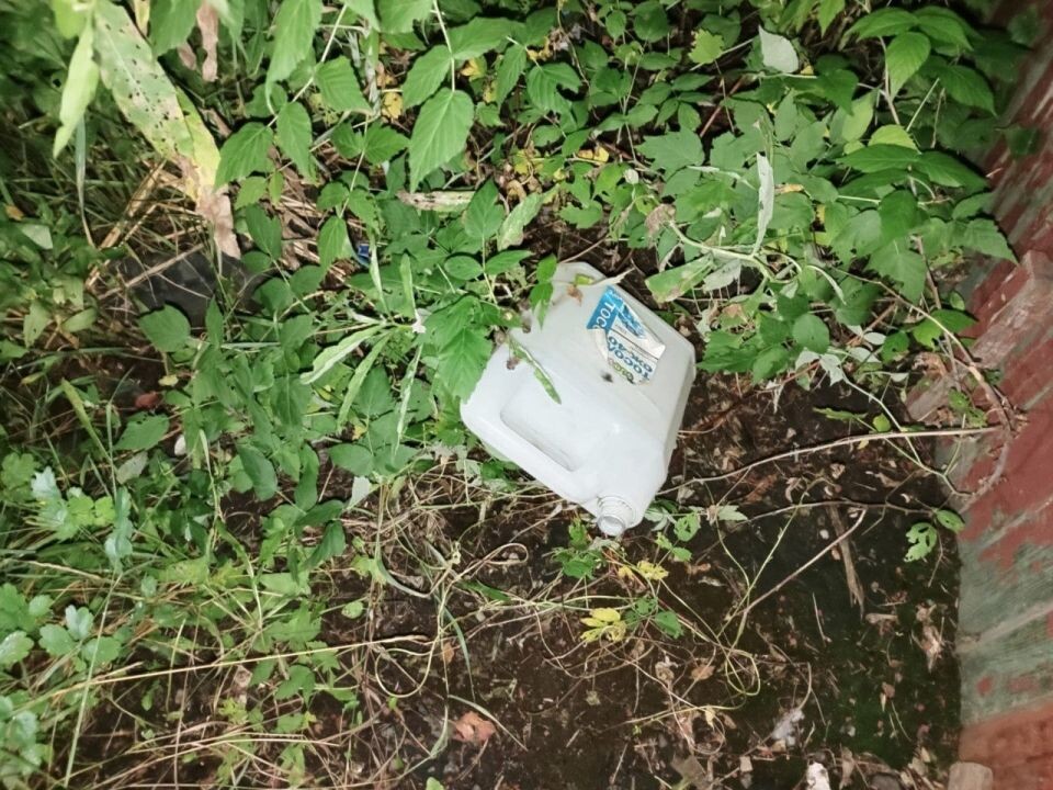    Подросток поджег ребенка в Алтайском крае. Источник: СУ СК России по Алтайскому краю