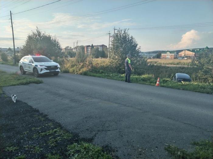     Фото: Госавтоинспекция Свердловской области