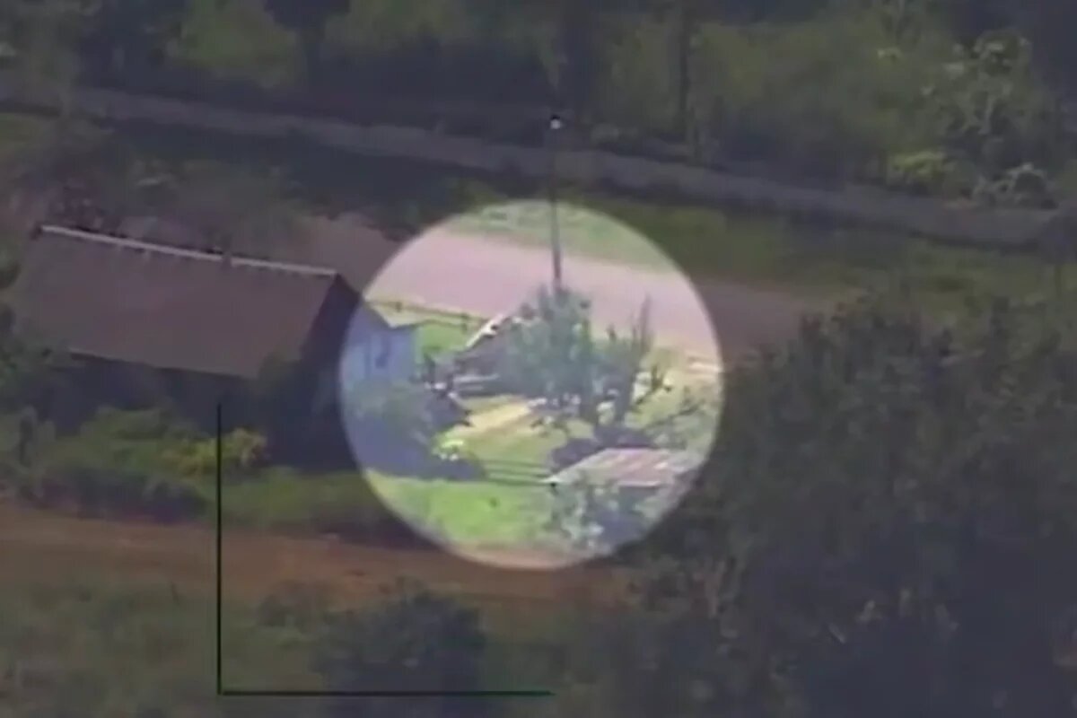    Раздельное убийство.