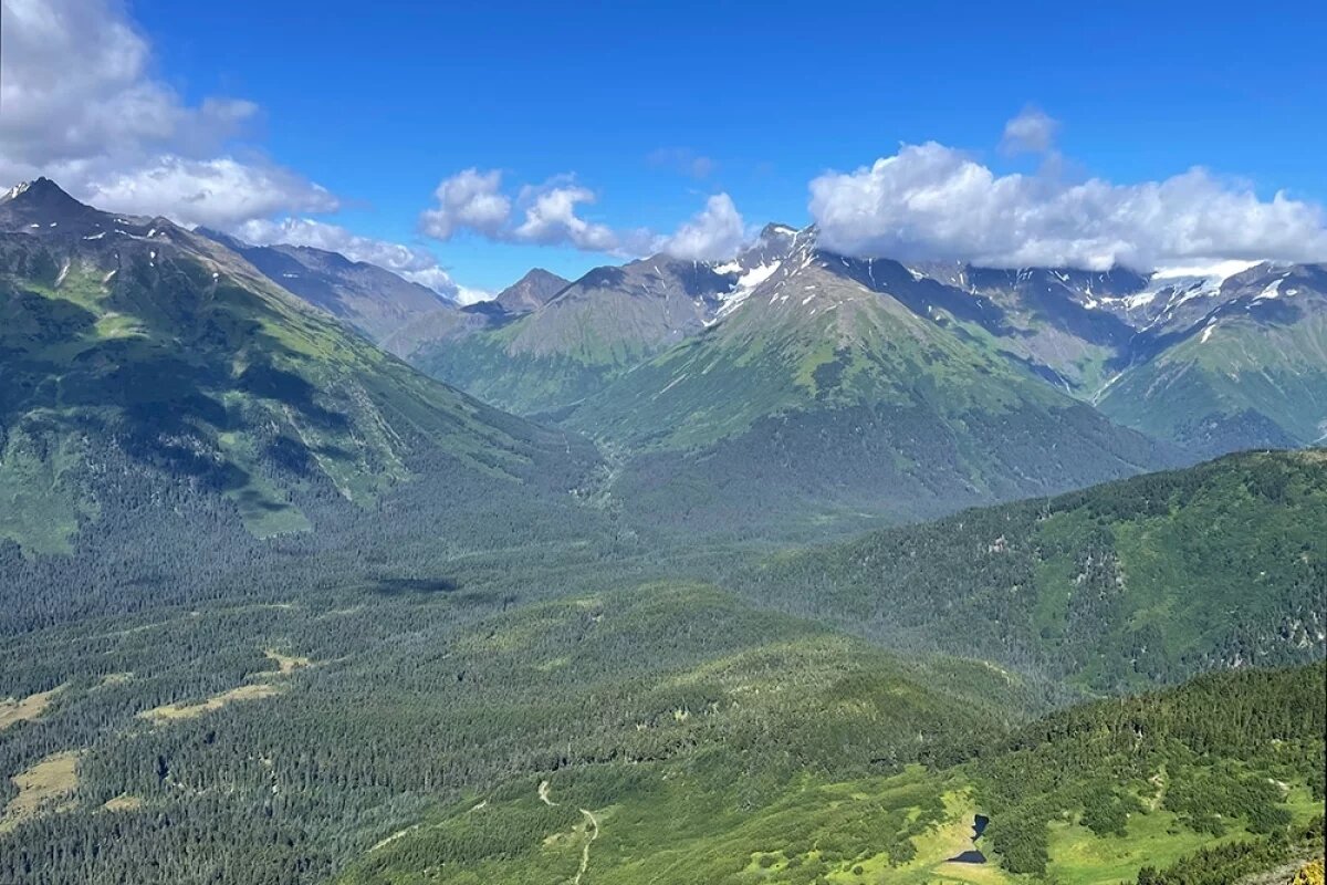    Жители Аляски надеются на возврат перелетов после встречи Путина и Трампа