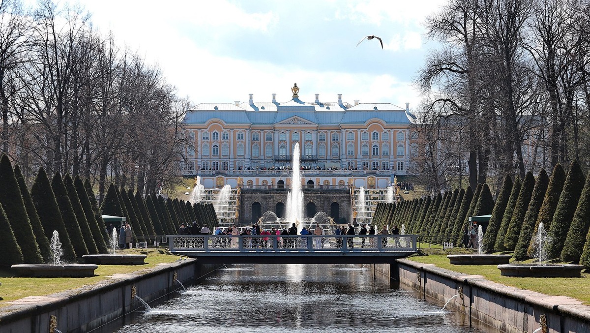 Соколов Дмитрий/СПб ведомости/ТАСС