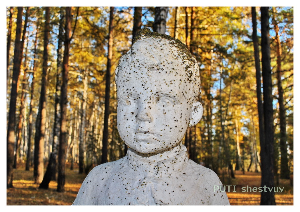 Суровые насекомые тюменщины не щадят и памятники (9 октября 2017 г.)